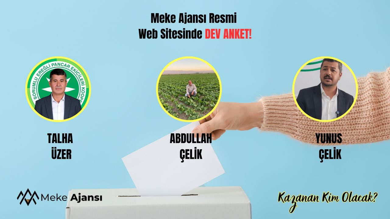 Pancar Ekicileri Kooperatifi Seçim Anketi