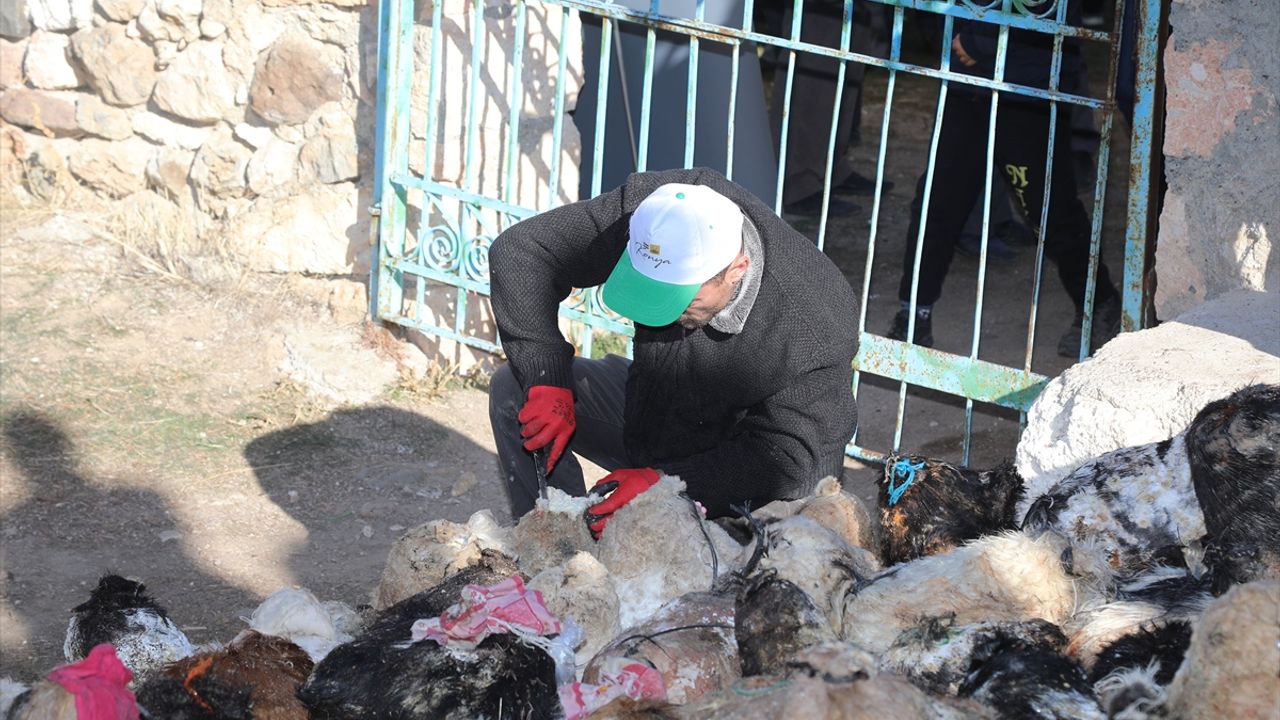 Konya'da 5 ay önce mağaralara bırakılan tulum peyniri çıkarıldı