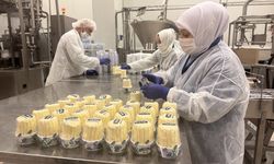 Çiftçi kuruluşunun tesislerinde üretilen süt ve süt ürünleri 15 ülkeye ihraç ediliyor
