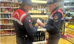 Nevşehir'de jandarma ekipleri 153 iş yerini denetledi