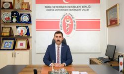 Veteriner Hekimleri Odası kurbanda "sağlık raporu" olmayan hayvanları almayın uyarısı yaptı