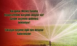 Karapınar Merkez Sulama Kooperatifinde Seçim Heyecanı