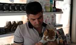Kıyamadığı Sokak Kedisine Şefkat Eli: Karapınar’da Veterinerin Merhamet Örneği
