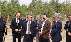 Kaymakam Öztürk: Geleceğe Nefes, Çocuklarımıza Umut Dikiyoruz