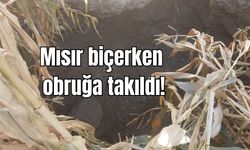 Mısır biçerken, obruğa takıldı!