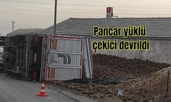 Pancar yüklü çekici devrildi
