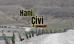 Hani çivi çakılmazdı!