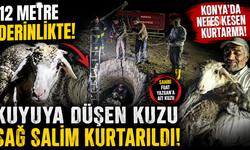 2 Gündür Kayıptı! 12 Metrelik Kuyudan Sağ Çıkan Kuzu Herkesi Şaşırttı!