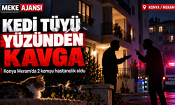 Konya'da Kedi Tüyü Yüzünden Kan Döküldü! Komşuların Tartışması Hastanede Bitti