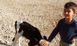 Konya'da sahipsiz köpeğin saldırdığı çocuk hayata tutunmaya çalışıyor