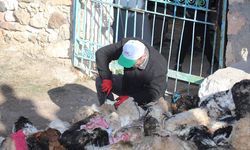 Konya'da 5 ay önce mağaralara bırakılan tulum peyniri çıkarıldı