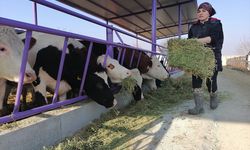 Konya'da üniversite mezunu kadın girişimci devlet desteğiyle çiftlik kurdu