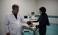 Hayvan hastalıklarının tanı ve tedavisinde "ultrason muayenesi" bilinci artıyor