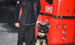 Arama kurtarma köpeği "Gece" enkaz altındaki 18 kişiye ulaşılmasını sağladı
