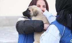 Karapınar'da sokak köpeği ve 8 yavrusuna gençler sahip çıktı