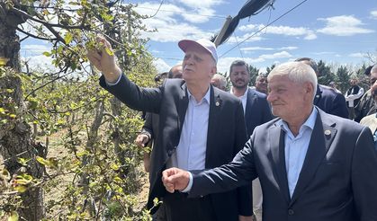 TZOB Genel Başkanı Bayraktar, Konya'da zirai dondan etkilenen elma bahçelerini inceledi