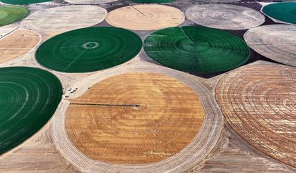 🌍 Konyalı Muhabir Dünyayı Salladı!