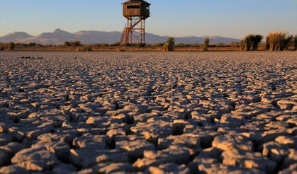 Fotoğrafçılar kuruyan Ereğli Akgöl Sazlıkları'nda yeniden kuşları görüntülemek istiyor
