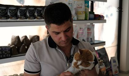 Kıyamadığı Sokak Kedisine Şefkat Eli: Karapınar’da Veterinerin Merhamet Örneği