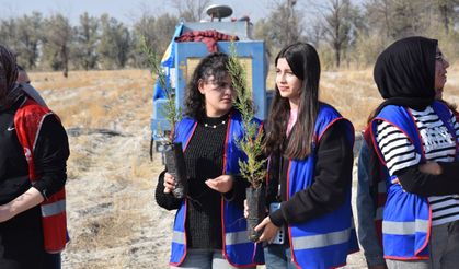 Karapınar’da Milli Ağaçlandırma Günü’nde Fidanlar Toprakla Buluştu