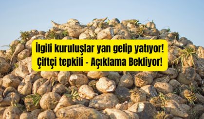 Karapınar’da Pancar Kotası Tartışması: Çiftçi Belirsizlikten Rahatsız, Açıklamalar Bekleniyor