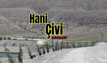 Hani çivi çakılmazdı!