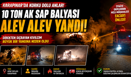 Karapınar'da Ak Sap Balyaları Yandı, Yangın Kontrol Altına Alındı