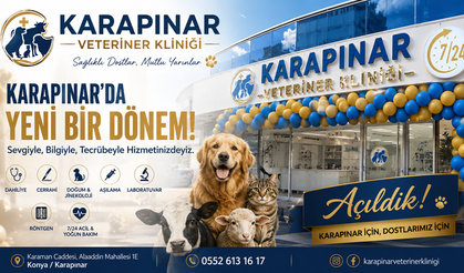 Karapınar’da Hayvan Sağlığına Yeni Bir Soluk: Karapınar Veteriner Kliniği Hizmete Açıldı