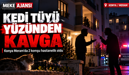 Konya'da Kedi Tüyü Yüzünden Kan Döküldü! Komşuların Tartışması Hastanede Bitti