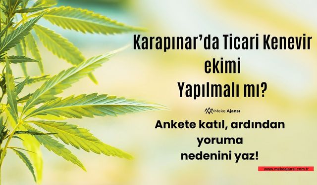 Karapınar'da Ticari Kenevir Ekimi Yapılmalı mı?