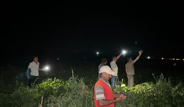 Konya Karapınar'da obruk tehlikesi: Seyit Hacı Yaylası'nda yeni obruk meydana geldi