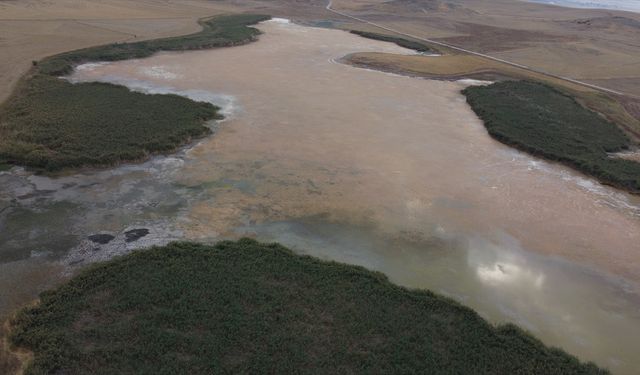 Konya'daki göçmen kuşların uğrak yeri Uyuz Gölü kurudu