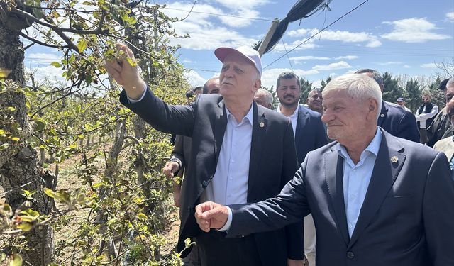 TZOB Genel Başkanı Bayraktar, Konya'da zirai dondan etkilenen elma bahçelerini inceledi