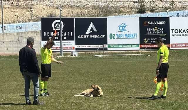 Konya'da köpeğe kırmızı kart gösteren hakem o anları anlattı