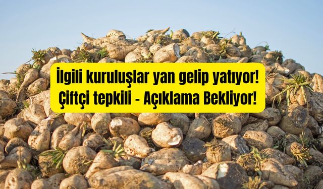 Karapınar’da Pancar Kotası Tartışması: Çiftçi Belirsizlikten Rahatsız, Açıklamalar Bekleniyor