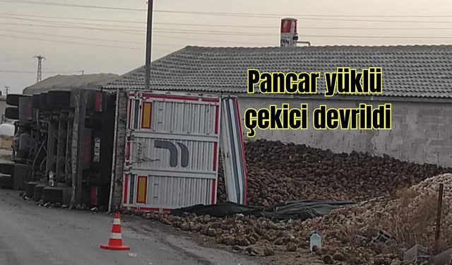 Pancar yüklü çekici devrildi