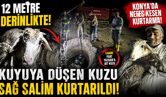 2 Gündür Kayıptı! 12 Metrelik Kuyudan Sağ Çıkan Kuzu Herkesi Şaşırttı!