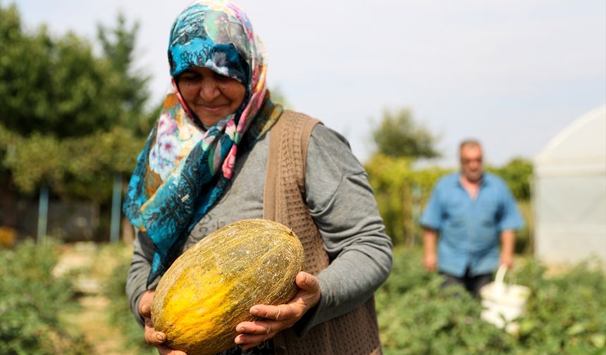 Doğal üretimle geçinen çift bahçesini devlet desteğiyle geliştirdi