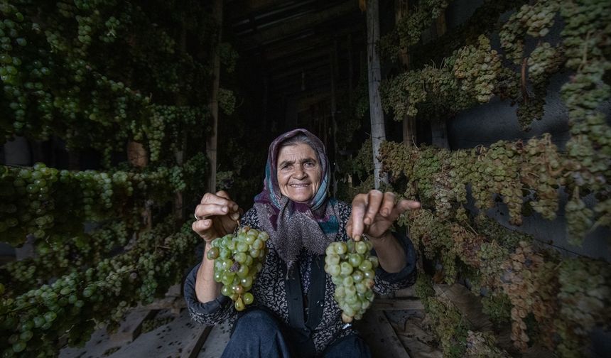 Konya’da Hadim üzüm pekmezi geleneksel yöntemlerle yapılıyor