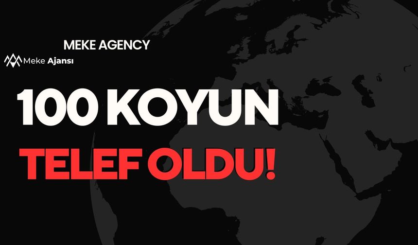 Konya'da devrilen tırdaki 100 koyun telef oldu