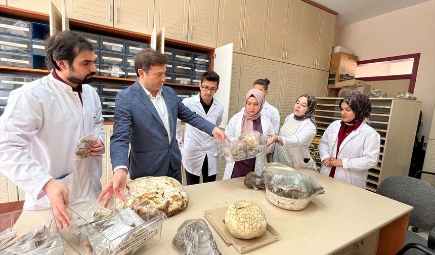Konya'da 30 bin örnek mantarla öğrencilere uygulamalı eğitim fırsatı sunuluyor