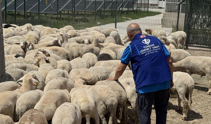 Türkiye Diyanet Vakfı, Konya'da 4 bin 25 kurban hissesinin etini ihtiyaç sahiplerine ulaştıracak