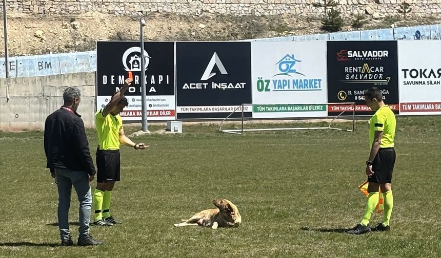 Konya'da köpeğe kırmızı kart gösteren hakem o anları anlattı