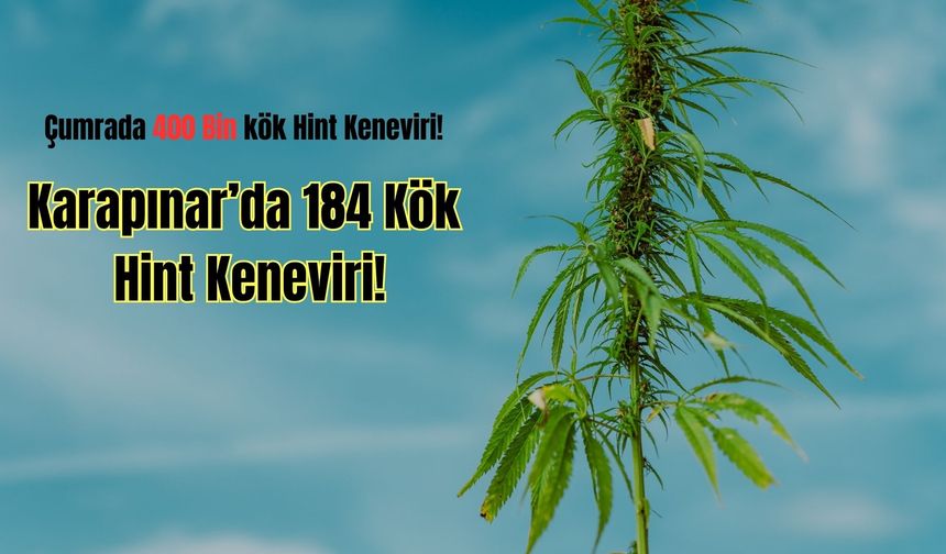 Konya'da uyuşturucu operasyonlarında 1 şüpheli tutuklandı
