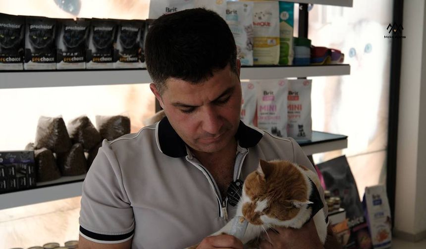 Kıyamadığı Sokak Kedisine Şefkat Eli: Karapınar’da Veterinerin Merhamet Örneği