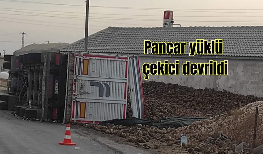 Pancar yüklü çekici devrildi
