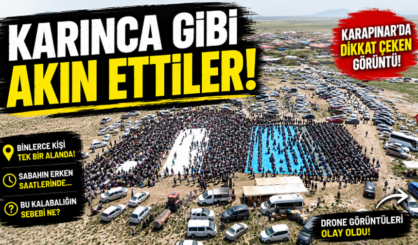 “Karınca Gibi Akın Ettiler”