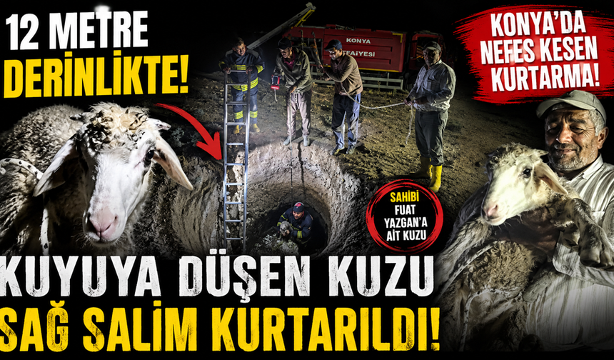 2 Gündür Kayıptı! 12 Metrelik Kuyudan Sağ Çıkan Kuzu Herkesi Şaşırttı!