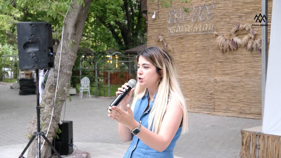 D S C F1253