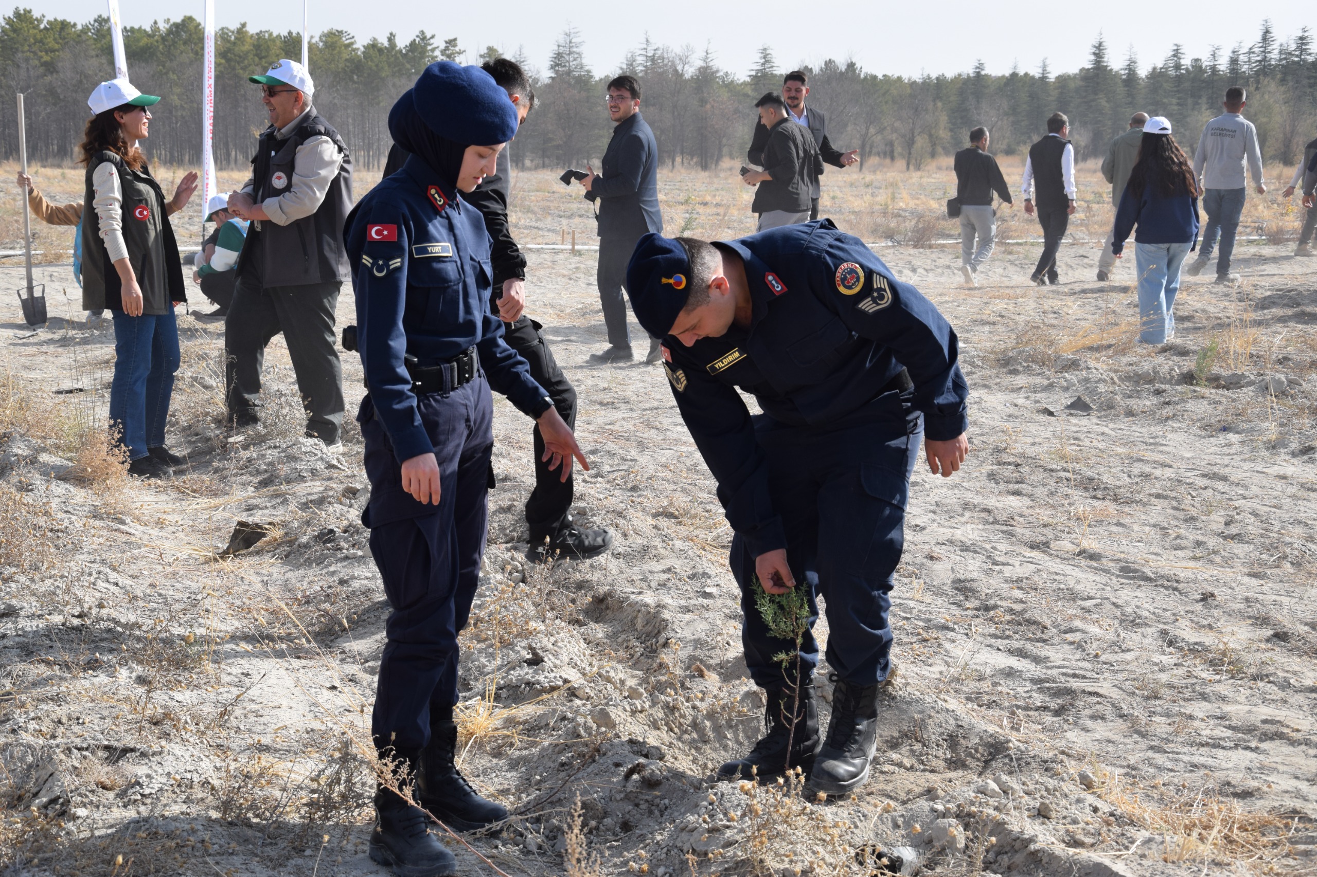 C4090Ce5 5994 4185 8F37 0Fc190843B5F